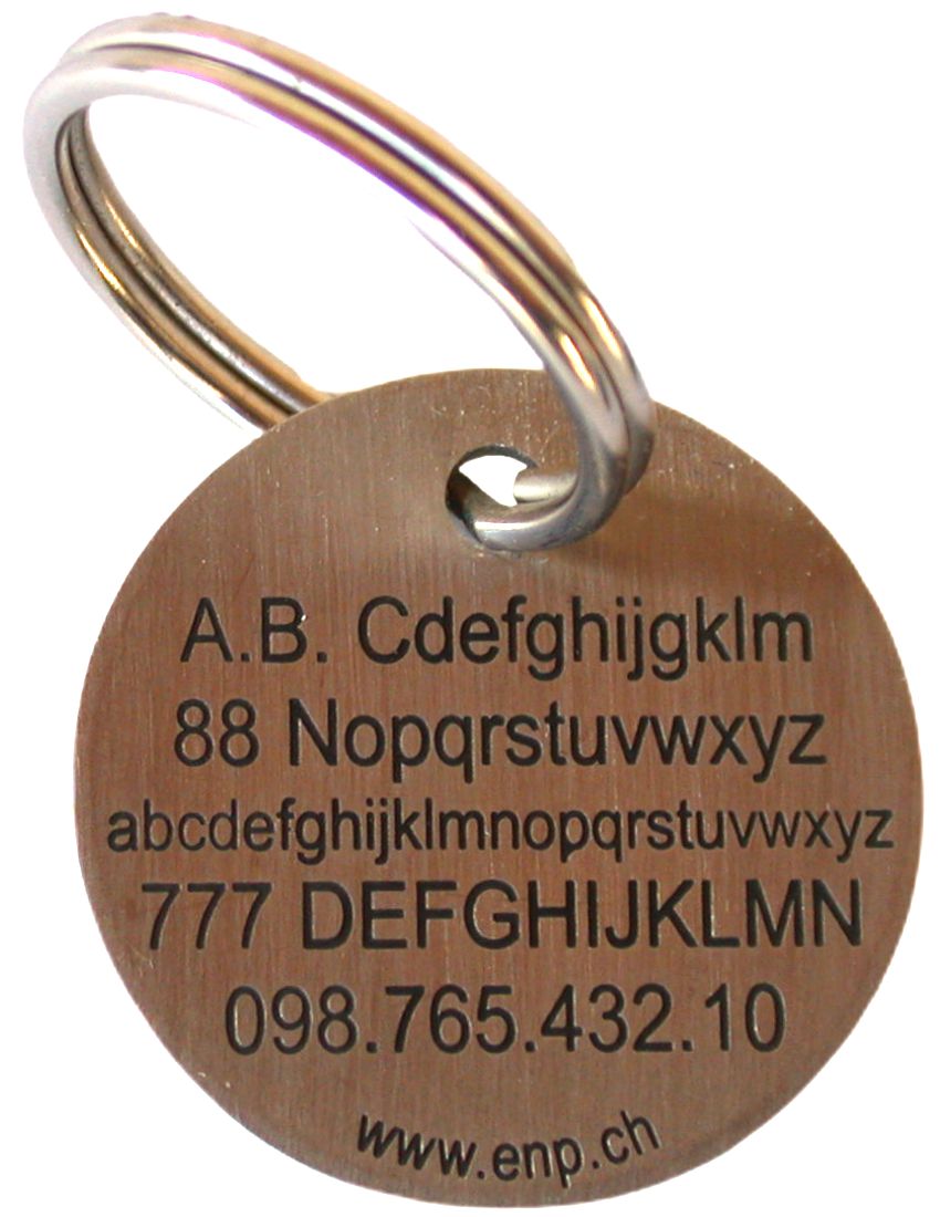 Name tag for cats - Stainless steel