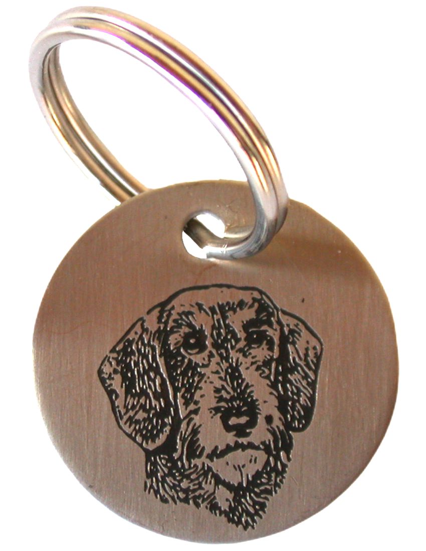 Name tag for dogs, Stainless steel